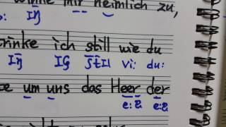 Strauss Heimliche Aufforderung Interpretation Aussprache 서울대입시곡 슈트라우스 은밀한 권유 가사 및 해설 [upl. by Atnek]