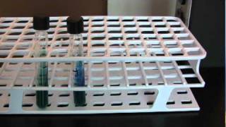 BIO 2192 UNIT 8  Citrate Test [upl. by Domel]