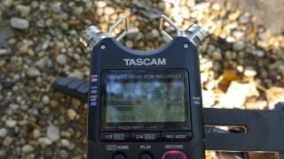 digital recorder comparison 2 Olympus LS11 vs LS14 vs TASCAM DR40  river [upl. by Bertelli]