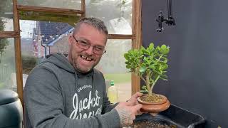 Repotting the Scottish Beech Bonsai with Ryan of Houghton Bonsai [upl. by Eerok]