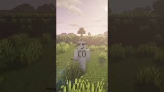 Useless Minecraft Fact no 26 [upl. by Cardew]