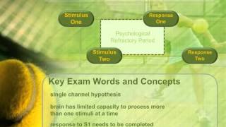 A Level PE Psychological Refractory Period [upl. by Llenad]