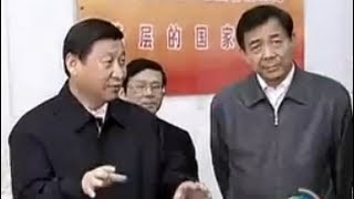 习近平2010年视察重庆 高度肯定薄熙来唱红打黑 [upl. by Westberg]