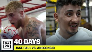 40 DAYS  Jake Paul vs AnEsonGib [upl. by Nitza]