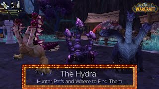 The Hydras  Hunter Pets  Where to find it in World of Warcraft  ep 7 [upl. by Yvette611]