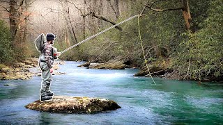 Fly Fishing South Carolina’s BEST Trout Stream [upl. by Grannia]