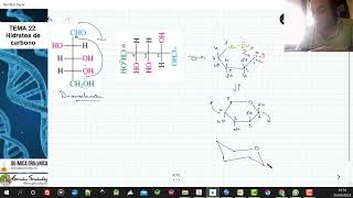 TEMA 22 CARBOHIDRATOS  223 FORMACIÓN DE PIRANOSAS [upl. by Sylirama]