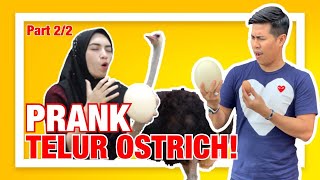 Part 22  BINI ASYRAF MULA MUALMUAL PRANK BINI MASAK TELUR OSTRICH  BURUNG UNTA [upl. by Lanna304]