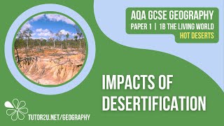 Impacts of Desertification  AQA GCSE Geography  Hot Deserts 9 [upl. by Ahsenwahs]