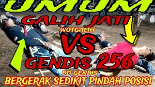 galih jati wotgalih vs gendis 256 dandanggendis  tarik tambang dandanggendis  pemuda ruwet [upl. by Doykos65]