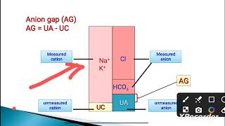 Anion Gap in Bangla [upl. by Eneri]