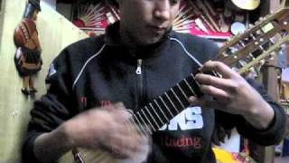 Fantastic Charango Playing in La Paz Bolivia in Local Music Store [upl. by Ainitsirc]