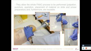 Medical Simulation Training in Fine Needle Aspiration FNA Simulación PAAF [upl. by Noel71]