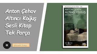 ANTON ÇEHOV  ALTINCI KOĞUŞ  SESLİ KİTAP [upl. by Worden]