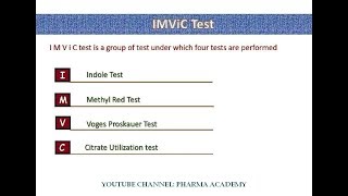 IMVIC test Hindi version [upl. by Edva81]