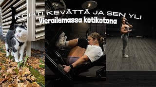 KOHTI KEVÄTTÄ JA SEN YLI OSA 5  Vierailemassa kotikotona [upl. by Nnaid750]