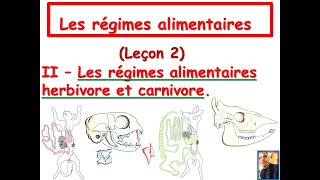 Le régime alimentaire herbivore et carnivore [upl. by Arual]