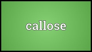 Callose Meaning [upl. by Eiser]