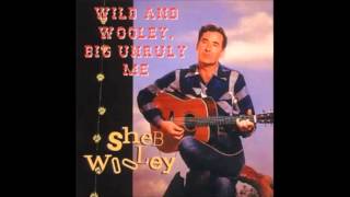 Sheb Wooley  Wild And Wooley Big Unruly Me [upl. by Tonye]