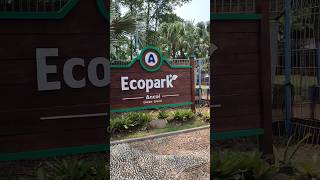 Fauna land eco park ancol fyp faunalandancol ytshorts ytshorts shorts cepbigichannel [upl. by Zetnod]