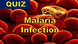 How to identify Malaria Parasites P falciparum P vivax P ovale P malariae P knowlesi [upl. by Bellina]