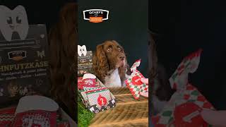 Hundeadventskalender ASMR  so macht auspacken Spaß [upl. by Kinemod]