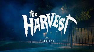 Frights and highlights of the 2024 Harvest Collection  Scentsy [upl. by Judas919]