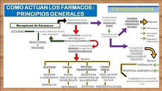 TEMA 3FARMACODINAMIA RECEPTORES FARMACOLOGICOS e introduccion a los AGONISTAS Y ANTAGONISTAS [upl. by Munson]