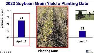 Strategies for Maintaining Crop Yield Among Low Commodity Prices [upl. by Stochmal605]