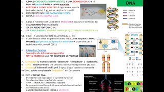 ArrayCGH Scoprendo i miracoli dellembrione Comprehensive Chromosome Screening CCS [upl. by Dante848]