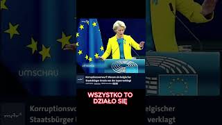 POLSKA EUROPOSŁANKA SZOKUJE NIEMCY KOMENATRZE PO WYSTĄPIENIU niemcy polacywniemczech [upl. by Wynne]