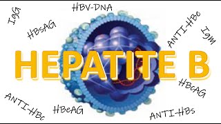 Diagnóstico da HEPATITE B [upl. by Giacopo]