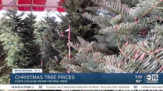 Christmas trees may be harder to find and more expensive this year [upl. by Enelia388]