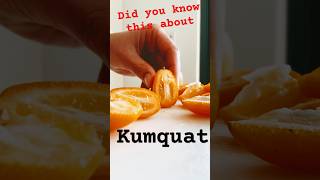 Kumquat and what you did not know facts food shorts [upl. by Claybourne]