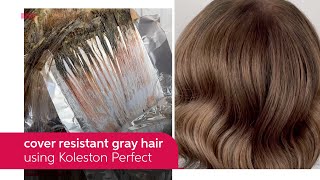 How to Cover Resistant Gray Hair Using Koleston Perfect  Wella Professionals [upl. by Avra]