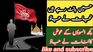 Hussain Bant Rahai Hain Nijaat Lai Jao  manqabat  qasaida  imam bargha sajida mandi bahu din [upl. by Nylinnej575]