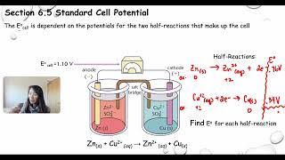 Standard Cell Potential [upl. by Jessica]