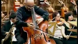 Catalin Rotaru double bass Haydn cello concerto part2 [upl. by Deelaw]