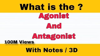 Difference Between Agonist And Antagonist  3D Animation  viral education [upl. by Nalim]