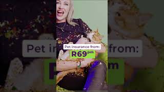 OUTsurance Pet l Stoffel [upl. by Penman]