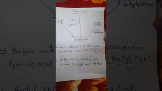 Acetyl CoA formation [upl. by Avad200]