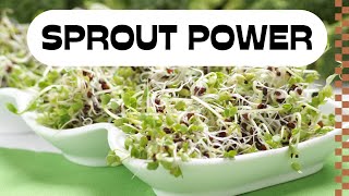 The 1 Reason Broccoli Sprouts Should Be Your New Daily Habit [upl. by Sixele]