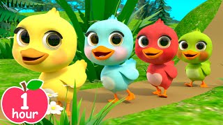 5 Colorful Rainbow Little Ducks  Newborn Baby Songs amp Nursery Rhymes [upl. by Laved]