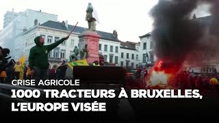 Crise agricole  1000 tracteurs à Bruxelles lEurope visée [upl. by Bearnard]