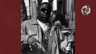 FREE Biggie Smalls Type Beat  Freestyle 90s Boom Bap Instrumental  quotCopsquot 2024 [upl. by Trutko648]