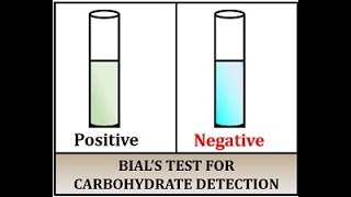 Bials test for carbohydrates detection [upl. by Jacqueline141]