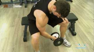 Ejercicio curl de biceps concentrado con mancuerna [upl. by Serena]