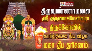 Tiruvannamalai Karthigai Deepam Live  கார்த்திகை தீபம்  தொடர் நேரலை  திருவண்ணாமலை [upl. by Carlile425]