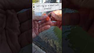 Learn To Rig Up A Soft Plastic Curly Tail Grub Full Vid ⬆️ fishingtips sharing vlog rapala [upl. by Adriell]