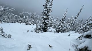 Powder Snowboarding [upl. by Vladimar]